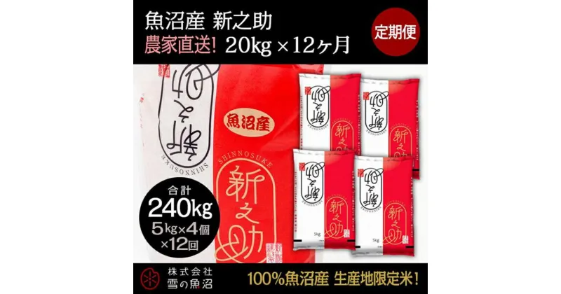 【ふるさと納税】【令和6年産】定期便！魚沼産 新之助【合計240kg】20kg×12回　定期便・ お米 米 こめ コメ 魚沼産 　お届け：通常はご入金確認の翌月以降、発送いたします。（9月までにご入金の方は10月10日以降発送）