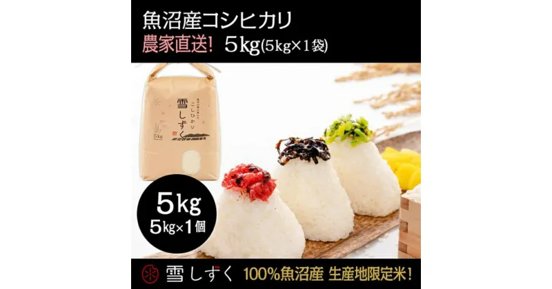 【ふるさと納税】令和6年産！魚沼産コシヒカリ【農家直送!】 5kg×1袋　 お米 米 コメ コシヒカリ 魚沼産 　お届け：令和6年9月20日以降、準備でき次第、順次発送いたします