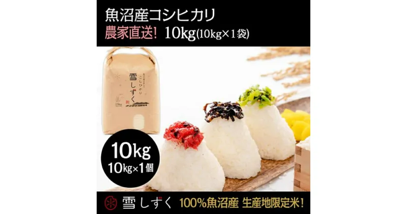 【ふるさと納税】令和6年産！魚沼産コシヒカリ【農家直送!】 10kg×1袋　 お米 米 コメ コシヒカリ 魚沼産 　お届け：令和6年9月20日以降、準備でき次第、順次発送いたします