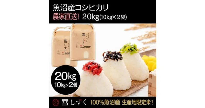 【ふるさと納税】令和6年産！魚沼産コシヒカリ【農家直送!】 10kg×2袋　 お米 米 コメ コシヒカリ 魚沼産 　お届け：令和6年9月20日以降、準備でき次第、順次発送いたします