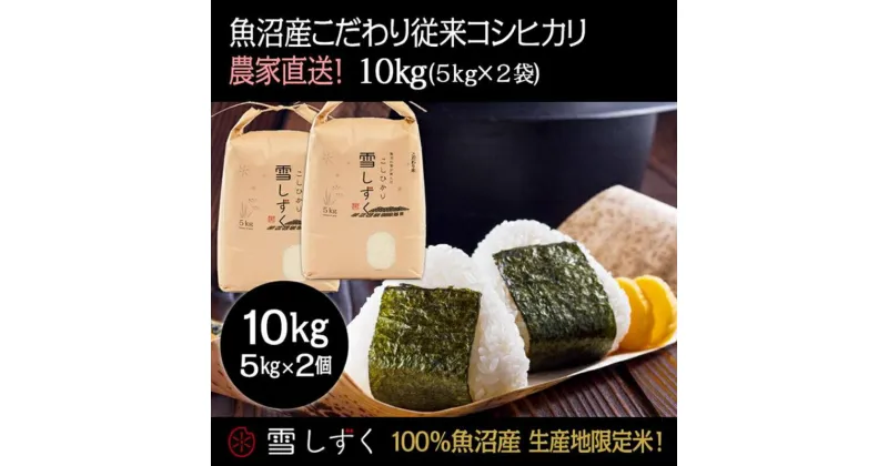 【ふるさと納税】令和6年産！魚沼産こだわり従来コシヒカリ【農家直送!】5kg×2袋　 お米 米 コメ コシヒカリ 魚沼産 　お届け：令和6年9月20日以降、準備でき次第、順次発送いたします