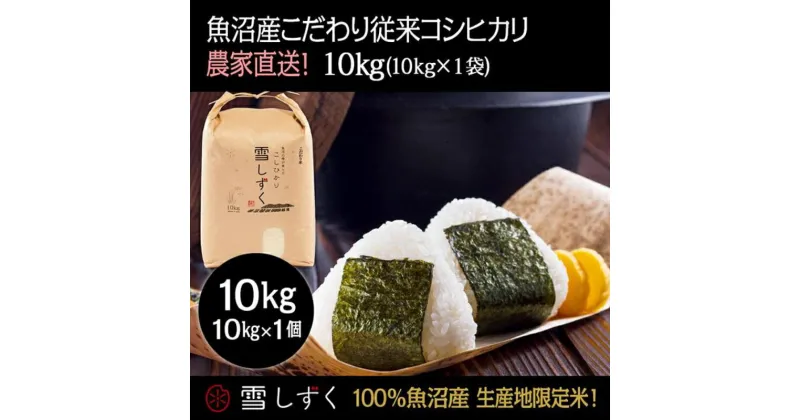 【ふるさと納税】令和6年産！魚沼産こだわり従来コシヒカリ【農家直送!】10kg×1袋　 お米 米 コメ コシヒカリ 魚沼産 　お届け：令和6年9月20日以降、準備でき次第、順次発送いたします