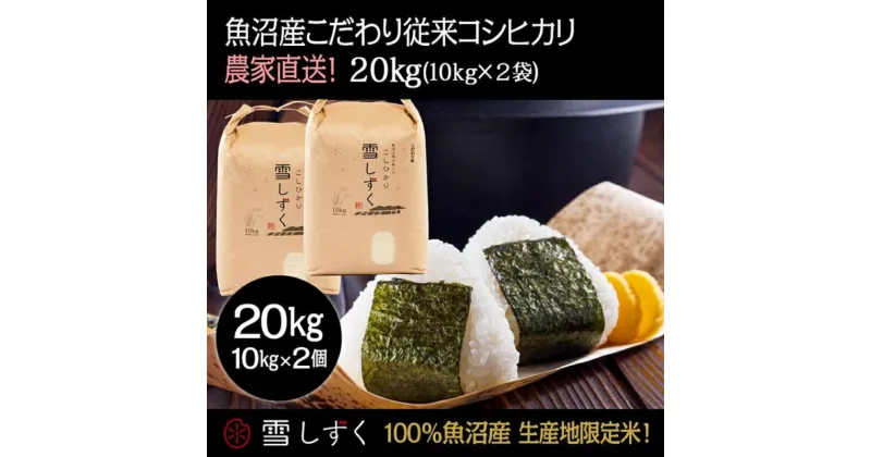 【ふるさと納税】令和6年産！魚沼産こだわり従来コシヒカリ【農家直送!】10kg×2袋　 お米 米 コメ コシヒカリ 魚沼産 　お届け：令和6年9月20日以降、準備でき次第、順次発送いたします