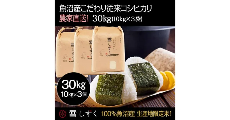 【ふるさと納税】令和6年産！魚沼産こだわり従来コシヒカリ【農家直送!】10kg×3袋　 お米 米 コメ コシヒカリ 魚沼産 　お届け：令和6年9月20日以降、準備でき次第、順次発送いたします