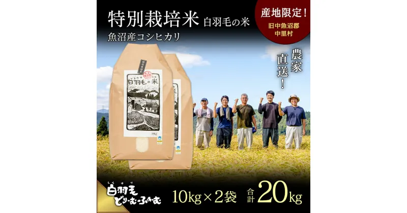 【ふるさと納税】【通年受付】≪令和6年産≫　農家直送！魚沼産コシヒカリ特別栽培「白羽毛の米」精米(10kg×2袋) 20kg　お米 白米 　お届け：10月01日発送開始。通年受付にてお届けします。