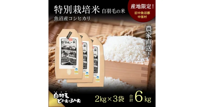 【ふるさと納税】【通年受付】≪令和6年産≫　農家直送！魚沼産コシヒカリ特別栽培「白羽毛の米」精米 (2kg×3袋) 6kg　お米 白米 ご飯 　お届け：10月01日発送開始。通年受付にてお届けします。