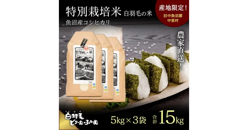 【ふるさと納税】【通年受付】≪令和6年産≫　農家直送！魚沼産コシヒカリ特別栽培「白羽毛の米」精米 (5kg×3袋) 15kg　お米 白米 　お届け：10月01日発送開始。通年受付にてお届けします。