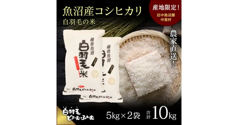 【ふるさと納税】【通年受付】≪令和6年産≫　農家直送！魚沼産コシヒカリ「白羽毛の米」精米 (5kg×2袋) 10kg　お米 白米 ご飯　お届け：10月01日発送開始。通年受付にてお届けします。