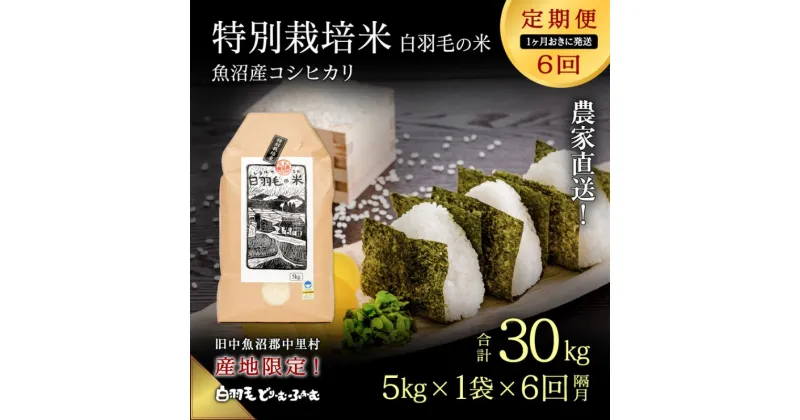 【ふるさと納税】【通年受付】≪令和6年産　≫【定期便／1ヶ月おき全6回】農家直送！魚沼産コシヒカリ特別栽培「白羽毛の米」精米(5kg×1袋)×6回 30kg　定期便・ お米 白米 ご飯 　お届け：入金の翌月以降発送。通年受付にて、1ヶ月おきに月全6回お届けいたします。