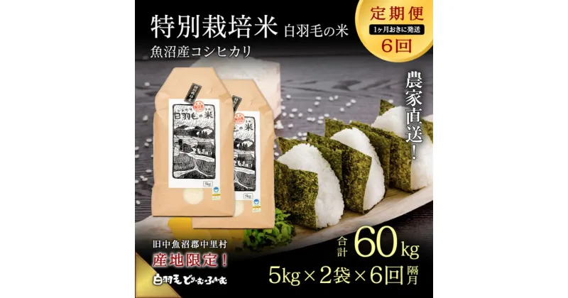 【ふるさと納税】【通年受付】≪令和6年産　≫【定期便／1ヶ月おき全6回】農家直送！魚沼産コシヒカリ特別栽培「白羽毛の米」精米(5kg×2袋)×6回 60kg　定期便・ お米 白米 ご飯 　お届け：入金の翌月以降発送。通年受付にて、1ヶ月おきに月全6回お届けいたします。