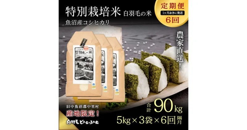 【ふるさと納税】【通年受付】≪令和6年産　≫【定期便／1ヶ月おき全6回】農家直送！魚沼産コシヒカリ特別栽培「白羽毛の米」精米(5kg×3袋)×6回 90kg　定期便・ お米 白米 ご飯 　お届け：入金の翌月以降発送。通年受付にて、1ヶ月おきに月全6回お届けいたします。