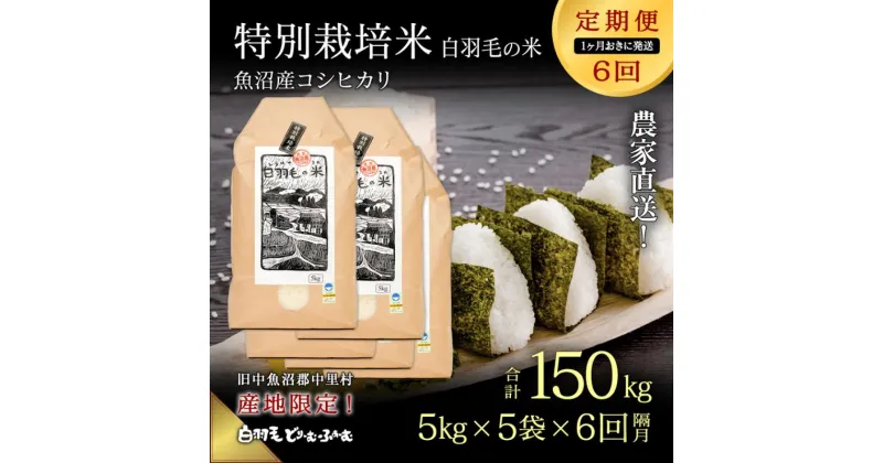 【ふるさと納税】【通年受付】≪令和6年産　≫【定期便／1ヶ月おき全6回】農家直送！魚沼産コシヒカリ特別栽培「白羽毛の米」精米(5kg×5袋)×6回 150kg　定期便・ お米 白米 ご飯 　お届け：入金の翌月以降発送。通年受付にて、1ヶ月おきに月全6回お届けいたします。