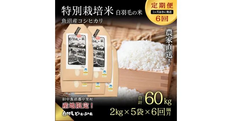 【ふるさと納税】【通年受付】令和6年産　【定期便/1ヶ月おき全6回】魚沼産コシヒカリ 特別栽培「白羽毛の米」精米(2kg×5袋)×6回 60kg　定期便・ お米 白米 ご飯 　お届け：入金の翌月以降発送。通年受付にて、1ヶ月おきに月全6回お届けいたします。