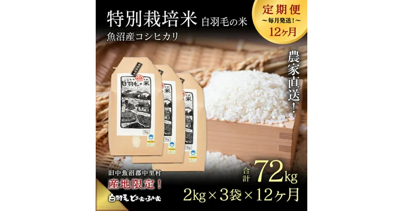 【ふるさと納税】【通年受付】≪令和6年産　≫【定期便／全12回】農家直送！魚沼産コシヒカリ特別栽培「白羽毛の米」精米(2kg×3袋)×12回 72kg　定期便・ お米 　お届け：入金の翌月以降発送。通年受付にて、月1回全12回お届けいたします。