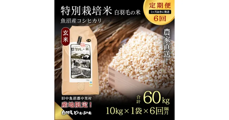 【ふるさと納税】【通年受付】≪令和6年産　≫【定期便／1ヶ月おき全6回】農家直送！魚沼産コシヒカリ特別栽培「白羽毛の米」玄米(10kg×1袋)×6回 60kg　定期便・ お米 白米 安心　　お届け：入金の翌月以降発送。通年受付にて、1ヶ月おきに月全6回お届けいたします。