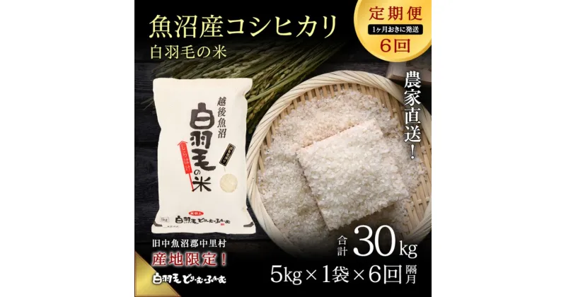 【ふるさと納税】【通年受付】≪令和6年産　≫【定期便／1ヶ月おき全6回】農家直送！魚沼産コシヒカリ「白羽毛の米」精米(5kg×1袋)×6回 30kg　定期便・ お米 白米 ご飯 　お届け：入金の翌月以降発送。通年受付にて、1ヶ月おきに月全6回お届けいたします。