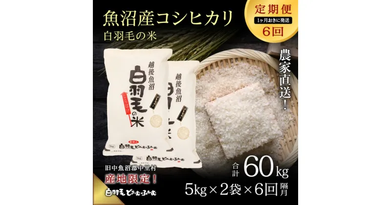 【ふるさと納税】【通年受付】≪令和6年産　≫【定期便／1ヶ月おき全6回】農家直送！魚沼産コシヒカリ「白羽毛の米」精米 (5kg×2袋)×6回 60kg　定期便・ お米 　お届け：入金の翌月以降発送。通年受付にて、1ヶ月おきに月全6回お届けいたします。