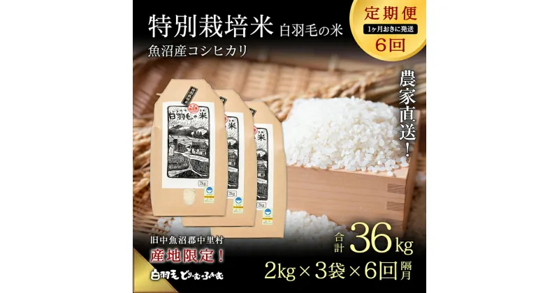 【ふるさと納税】【通年受付】≪令和6年産　≫【定期便／1ヶ月おき全6回】農家直送！魚沼産コシヒカリ特別栽培「白羽毛の米」精米(2kg×3袋)×6回 36kg　定期便・ お米 白米 ご飯 　お届け：入金の翌月以降発送。通年受付にて、1ヶ月おきに月全6回お届けいたします。