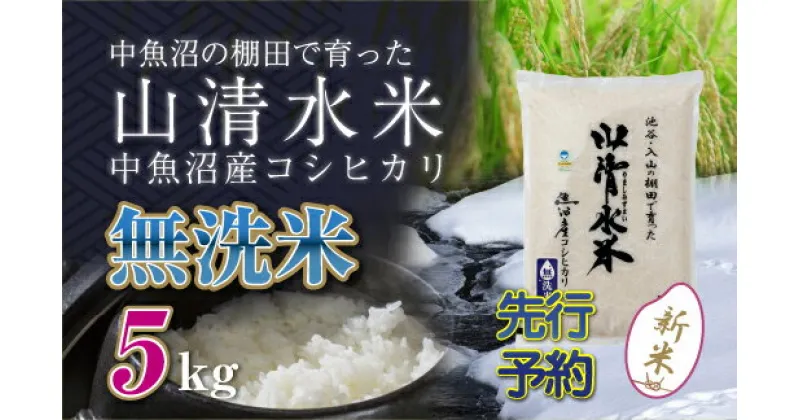 【ふるさと納税】【新米先行受付】新潟県魚沼産コシヒカリ「山清水米」無洗米5kg　十日町市　お届け：2024年10月上旬から順次発送します。