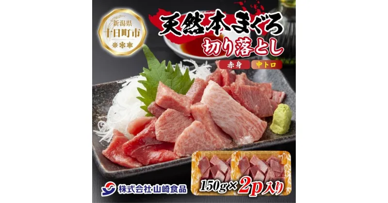 【ふるさと納税】天然 本マグロ 切り落とし 赤身 中トロ 150g×2パック 計300g 本まぐろ クロマグロ 中とろ 冷凍 まぐろ 鮪 海鮮 刺身 海鮮丼 手巻き寿司 お取り寄せ グルメ 送料無料 新潟県 十日町市　十日町市　お届け：入金確認後、約1週間～2週間ほどでお届け