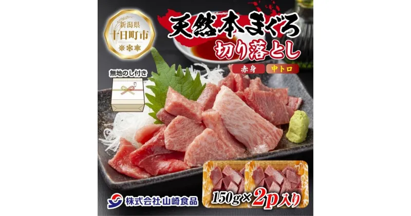 【ふるさと納税】無地熨斗 天然 本マグロ 切り落とし 赤身 中トロ 150g×2パック 計300g クロマグロ 冷凍 まぐろ 刺身 手巻き寿司 お取り寄せ グルメ 熨斗 のし 名入れ不可 送料無料 新潟県 十日町市　十日町市　お届け：入金確認後、約1週間～2週間ほどでお届け