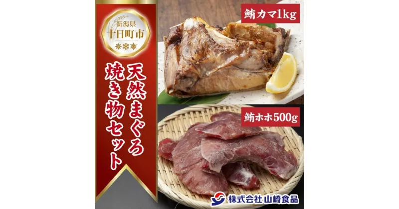 【ふるさと納税】天然 マグロ 焼き物セット カマ 1kg ホホ肉 500g 計1.5kg メバチマグロ おかず おつまみ 冷凍 まぐろ ほほ肉 バーベキュー お取り寄せ グルメ 送料無料 山崎食品 新潟県 十日町市　十日町市　お届け：入金確認後、約1週間～2週間ほどでお届け