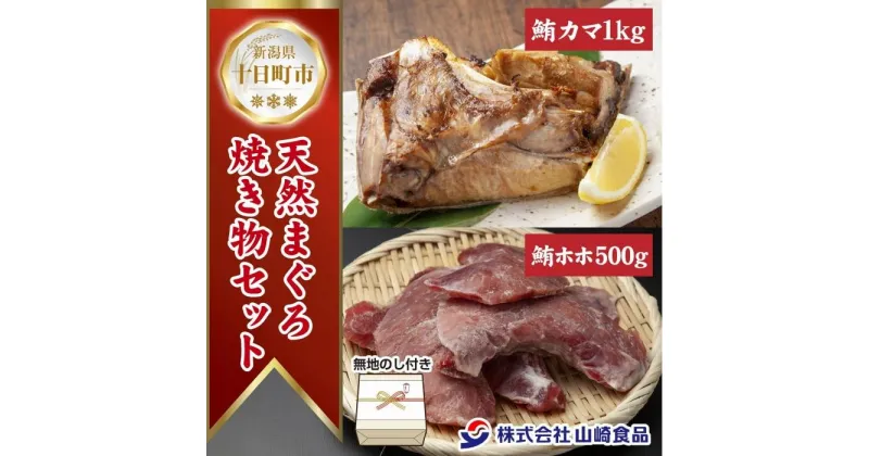 【ふるさと納税】無地熨斗 天然 マグロ 焼き物セット カマ 1kg ホホ肉 500g 計1.5kg メバチ おかず おつまみ 冷凍 お取り寄せ グルメ 熨斗 のし 名入れ不可 送料無料 山崎食品 新潟県 十日町市　十日町市　お届け：入金確認後、約1週間～2週間ほどでお届け