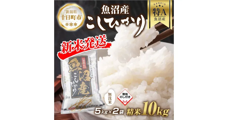 【ふるさと納税】【令和6年産 新米予約】 無地熨斗 無洗米 魚沼産 コシヒカリ 5kg × 2袋 計10kg 新米 農家のこだわり 新潟県 十日町市 お米 こめ 白米 コメ 食品 人気 おすすめ 送料無料　 精米 ご飯 ブランド米 銘柄米 　お届け：2024年9月中旬より順次発送