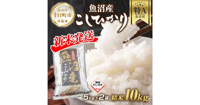 【ふるさと納税】【令和6年産 新米予約】 無地熨斗 魚沼産 コシヒカリ 5kg × 2袋 計10kg 新米 農家のこだわり 新潟県 十日町市 お米 こめ 白米 コメ 食品 人気 おすすめ 送料無料　 精米 ご飯 ブランド米 銘柄米 　お届け：2024年9月中旬より順次発送