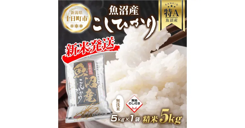 【ふるさと納税】【令和6年産 新米予約】 無地熨斗 無洗米 魚沼産 コシヒカリ 5kg 新米 農家のこだわり 新潟県 十日町市 お米 こめ 白米 コメ 食品 人気 おすすめ 送料無料　 精米 ご飯 ブランド米 銘柄米 　お届け：2024年9月中旬より順次発送