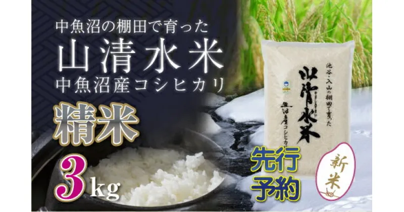 【ふるさと納税】【新米先行受付】新潟県魚沼産コシヒカリ「山清水米」精米3kg　十日町市　お届け：2024年10月上旬から順次発送します。