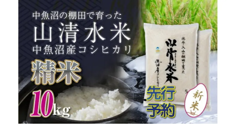 【ふるさと納税】【新米先行受付】新潟県魚沼産コシヒカリ「山清水米」精米10kg　十日町市　お届け：2024年10月上旬から順次発送します。