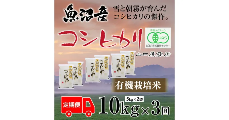 【ふるさと納税】定期便 全3回 有機栽培米 魚沼産コシヒカリ 5kg×2袋　定期便・ お米 米 コメ コシヒカリ 魚沼産 　お届け：寄附確認月の翌月より発送いたします。