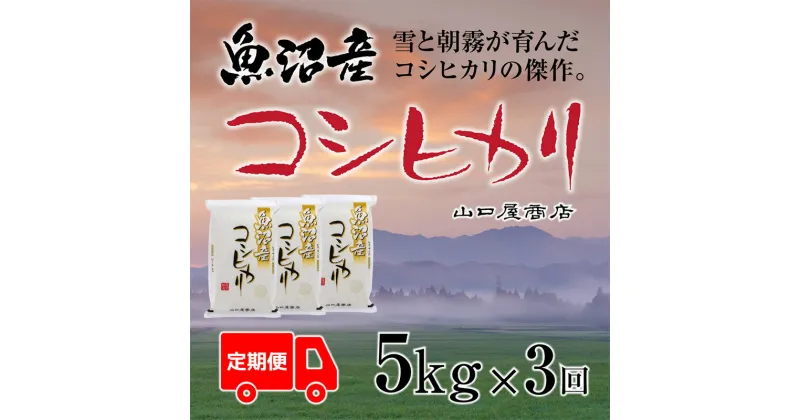 【ふるさと納税】定期便 全3回 魚沼産コシヒカリ 5kg　定期便・ お米 米 コメ コシヒカリ 魚沼産 　お届け：寄附確認月の翌月より発送いたします。