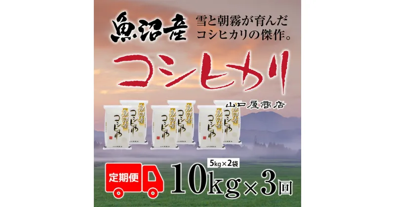 【ふるさと納税】定期便 全3回 魚沼産コシヒカリ 5kg×2袋　定期便・ お米 米 コメ コシヒカリ 魚沼産 　お届け：寄附確認月の翌月より発送いたします。