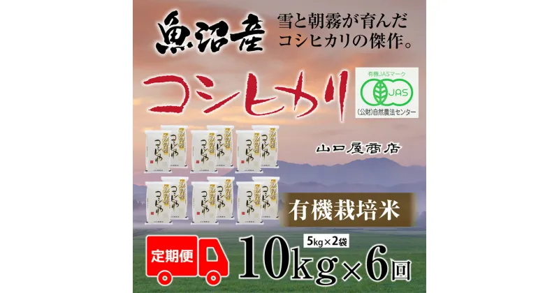 【ふるさと納税】定期便 全6回 有機栽培米 魚沼産コシヒカリ 5kg×2袋　定期便・ お米 米 コメ コシヒカリ 魚沼産 　お届け：寄附確認月の翌月より発送いたします。