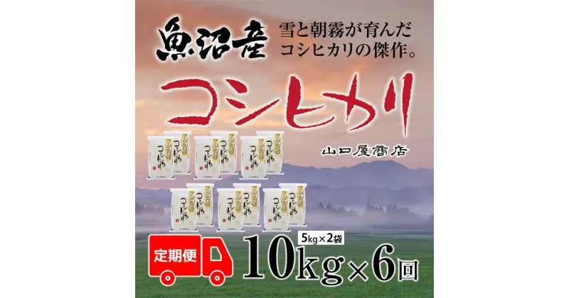 【ふるさと納税】定期便 全6回 魚沼産コシヒカリ 5kg×2袋　定期便・ お米 米 コメ コシヒカリ 魚沼産 　お届け：寄附確認月の翌月より発送いたします。