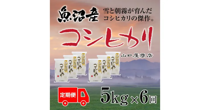 【ふるさと納税】定期便 全6回 魚沼産コシヒカリ 5kg　定期便・ お米 米 コメ コシヒカリ 魚沼産 　お届け：寄附確認月の翌月より発送いたします。