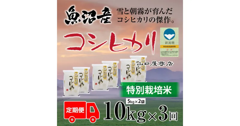 【ふるさと納税】定期便 全3回 特別栽培米 魚沼産コシヒカリ 5kg×2袋　定期便・ お米 米 コメ コシヒカリ 魚沼産 　お届け：寄附確認月の翌月より発送いたします。