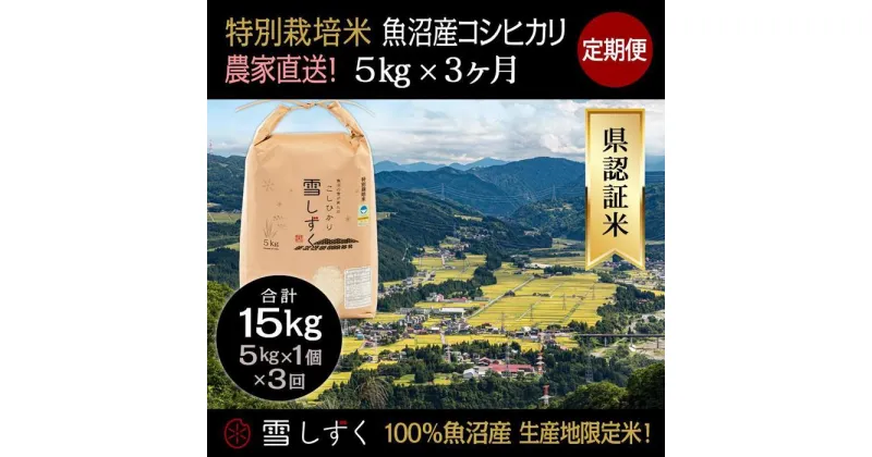 【ふるさと納税】【令和6年産】定期便！農家直送！県認証特別栽培魚沼産コシヒカリ【合計15kg】毎月5kg×3回　定期便・ 精米 ご飯 ブランド米 銘柄米 　お届け：ご入金確認の翌月以降、発送いたします。