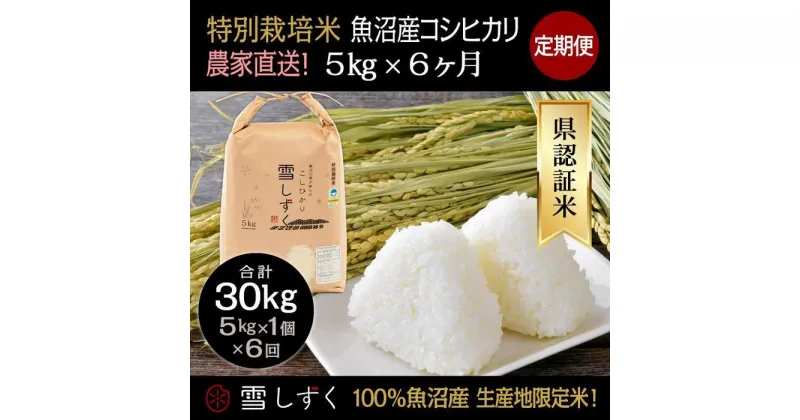 【ふるさと納税】【令和6年産】定期便！農家直送！県認証特別栽培魚沼産コシヒカリ【合計30kg】毎月5kg×6回　定期便・ 精米 ご飯 ブランド米 銘柄米 　お届け：ご入金確認の翌月以降、発送いたします。