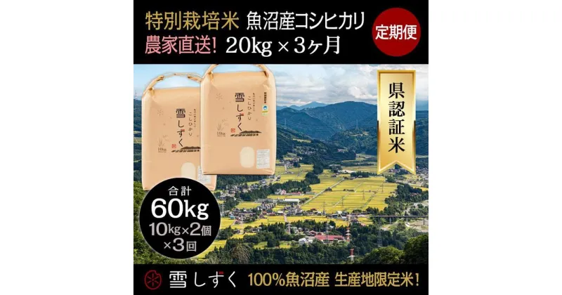 【ふるさと納税】【令和6年産】定期便！農家直送！県認証特別栽培魚沼産コシヒカリ【合計60kg】毎月20kg×3回　定期便・ 精米 ご飯 ブランド米 銘柄米 　お届け：ご入金確認の翌月以降、発送いたします。