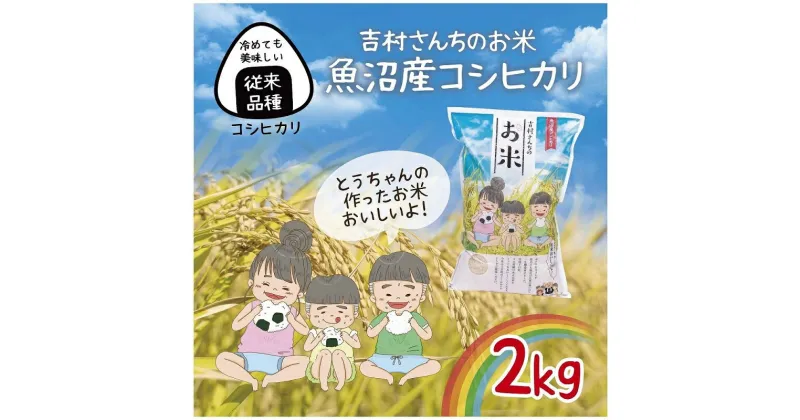 【ふるさと納税】｜従来品種｜ 魚沼産 コシヒカリ 2kg 米 こしひかり お米 コメ 新潟 魚沼 魚沼産 白米 送料無料 新潟県産 精米 産直 農家直送 お取り寄せ 吉村さんちのお米 新潟県 十日町市　モチモチ 安心 安全　お届け：入金確認後、約1週間～2週間ほどでお届け