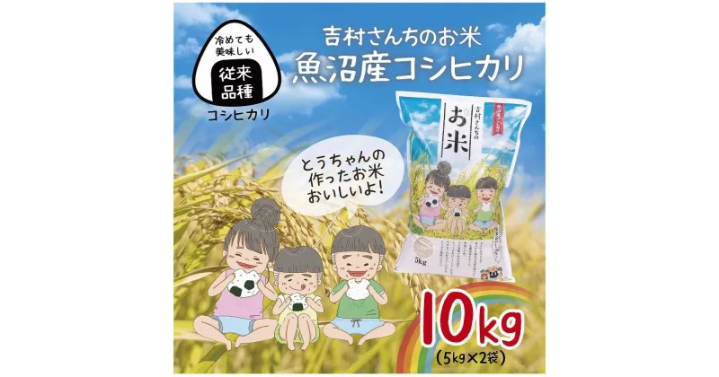 【ふるさと納税】｜従来品種｜ 魚沼産 コシヒカリ 5kg ×2袋 計10kg 米 こしひかり お米 コメ 新潟 魚沼 魚沼産 白米 送料無料 新潟県産 精米 産直 農家直送 お取り寄せ 吉村さんちのお米 新潟県 十日町市　 モチモチ 　お届け：入金確認後、約1週間～2週間ほどでお届け