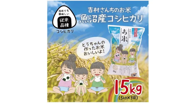 【ふるさと納税】｜従来品種｜ 魚沼産 コシヒカリ 5kg ×3袋 計15kg 米 こしひかり お米 コメ 新潟 魚沼 魚沼産 白米 送料無料 新潟県産 精米 産直 農家直送 お取り寄せ 吉村さんちのお米 新潟県 十日町市　 モチモチ 　お届け：入金確認後、約1週間～2週間ほどでお届け