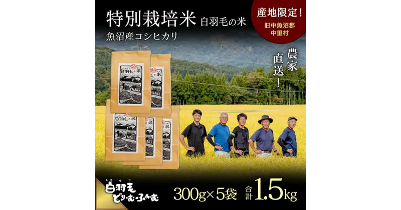 【ふるさと納税】【通年受付】≪令和6年産≫　農家直送！魚沼産コシヒカリ特別栽培「白羽毛の米」精米 (300g×5袋) 1.5kg　お届け：10月1日発送開始。通年受付にてお届けします。