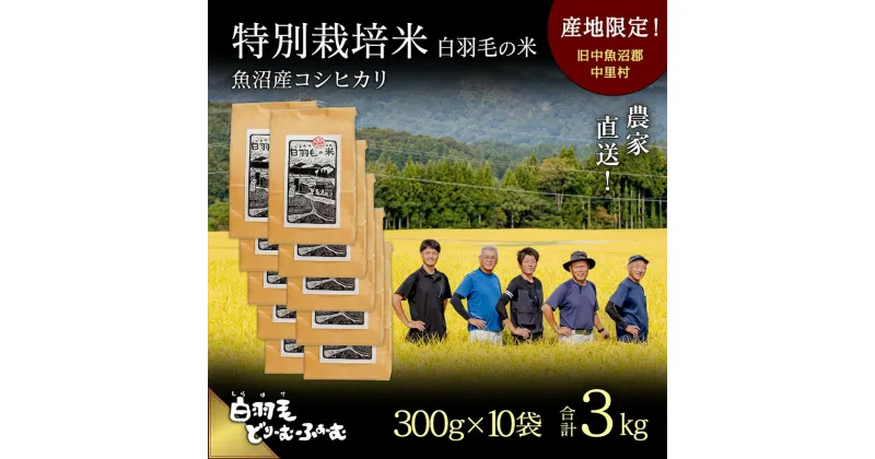 【ふるさと納税】【通年受付】≪令和6年産≫　農家直送！魚沼産コシヒカリ特別栽培「白羽毛の米」精米 (300g×10袋) 3kg　お届け：10月1日発送開始。通年受付にてお届けします。