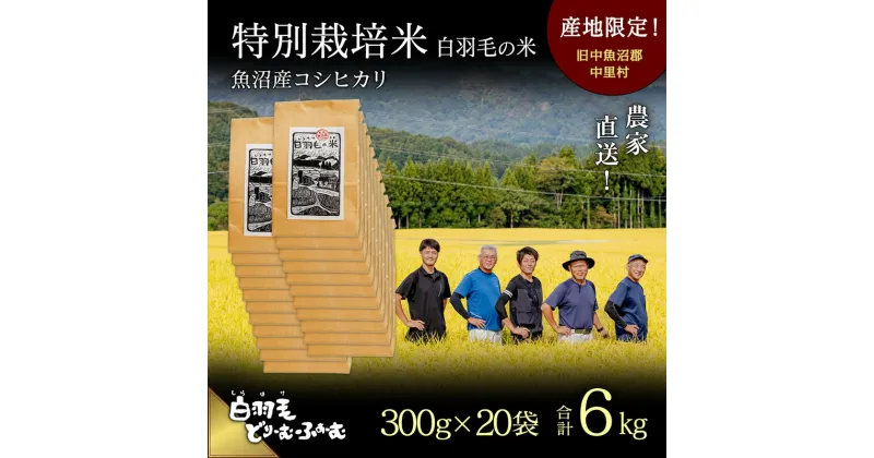 【ふるさと納税】【通年受付】≪令和6年産≫　農家直送！魚沼産コシヒカリ特別栽培「白羽毛の米」精米 (300g×20袋) 6kg　お届け：10月1日発送開始。通年受付にてお届けします。