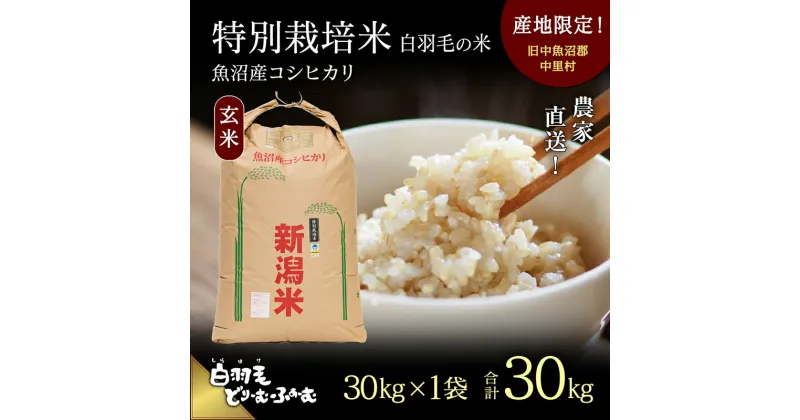 【ふるさと納税】【通年受付】≪令和6年産≫　農家直送！魚沼産コシヒカリ特別栽培「白羽毛の米」玄米(30kg×1袋) 30kg　 お米 ご飯 安心 　お届け：10月01日発送開始。通年受付にてお届けします。