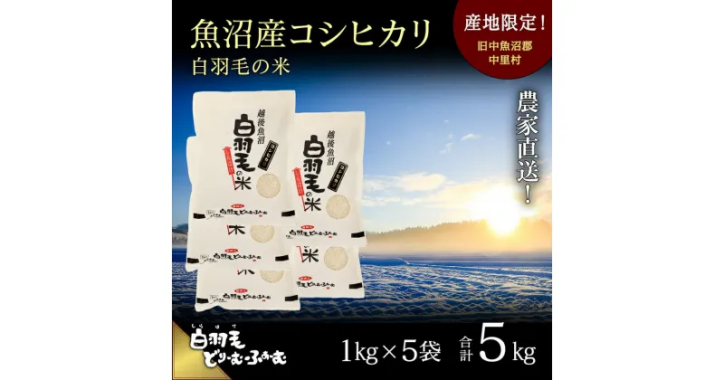 【ふるさと納税】【通年受付】≪令和6年産≫　農家直送！魚沼産コシヒカリ「白羽毛の米」精米 (1kg×5袋) 5kg　 お米 白米 ご飯 　お届け：10月01日発送開始。通年受付にてお届けします。